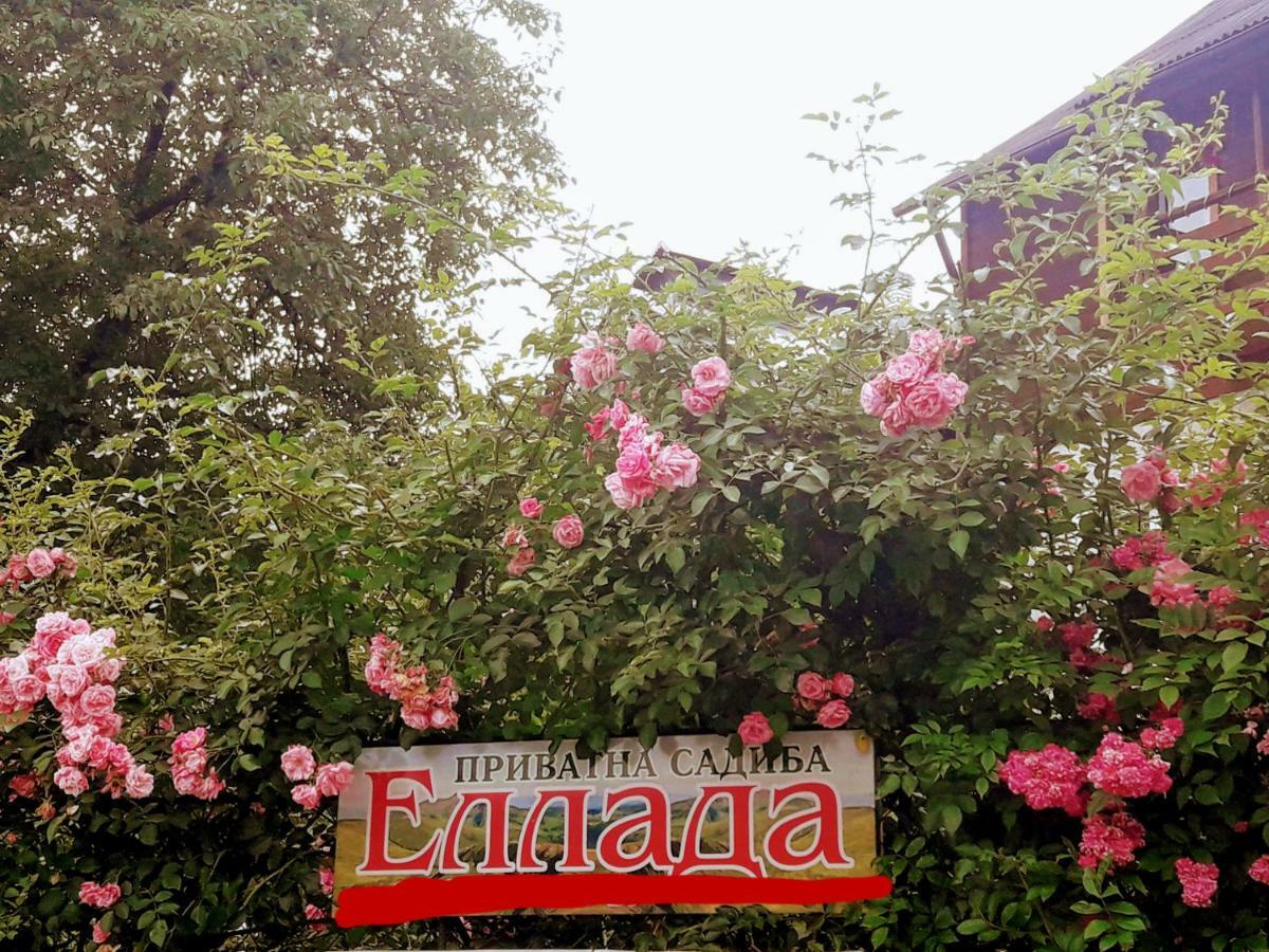 Sadyba Ellada Jaremtsje Buitenkant foto